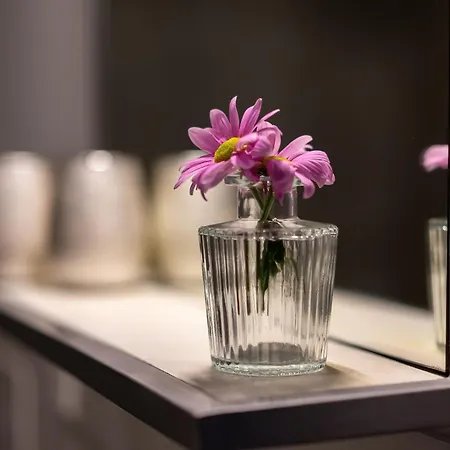 Aner 4 Design Zoe * Dresden